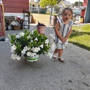 Meet your Posher, Larry